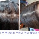 샬롬미용실 이미지