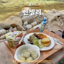 벤첼리 이미지