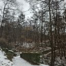 용담명암산성동 행정복지센터 | 청주의 진산鎭山 우암산 산행(2024/12/25)