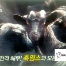 주월농장 네이버블로그