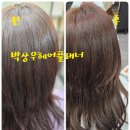 수원 영통붙임머리 땋기붙임 머리 박상우헤어플래너