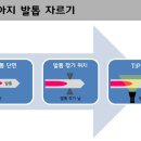 강아지 발톱자르기 이미지