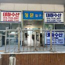 경남 고성 새우 직판장 태하수산 : 살이꽉찬 활새우 포장 후기