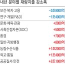 2025년 분야별 재량지출 감소폭 이미지