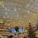 방배천로32길 20 | 2026 새해 시시시작