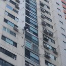 우일페인트