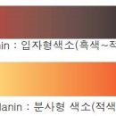 스너그라운드 이미지
