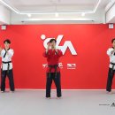 CHA태권도 이미지