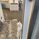 밀론부티크 상무 네이버블로그