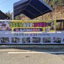 플레이정글