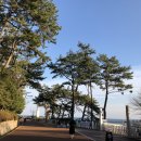 애니필라필라테스스튜디오