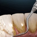 월드코아의원 이미지