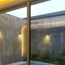 제주애단비 마주 이미지