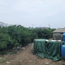 덕송부동산중개사무소 이미지