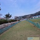 홍농초등학교 | 영광 홍농읍 동명파크골프장 라운딩 후기 with 판테온 PN250 클럽
