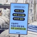 (집)롯데슈퍼광명소하점 | 시몬스침대 광명점 후기 ㅣ 허리건강 효도선물 고민 끝 바나듐 포켓스프링 직접 체험