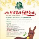 축제2015 이미지