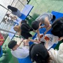 휴&휴민박 이미지