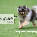 다올 미용샵