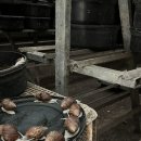 오금농장 이미지