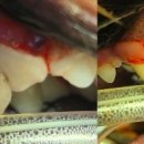 산들동물병원 이미지