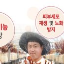 햇살담은 버섯농원