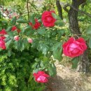 삼성오토미션전문점 이미지