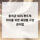 자기치아살리기365일야간드림플란트치과병원 | 충치균 SOS! 뽀드득 치아를 위한 세대별 구강 관리법