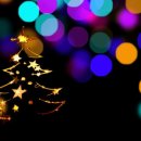 돌고래 좌대낚시터 이미지