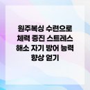 역동복싱 이미지