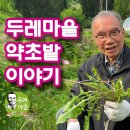 14가지 약초들을 소개합니다