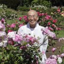 오크랜드 이미지