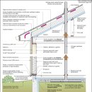 이도라돈 이미지