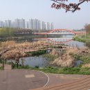 화정천1 이미지