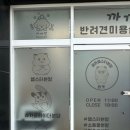 골든햄스터 분양 탬펫 충남아산점 이미지