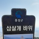 삽살개바위-용봉산 이미지