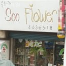 수플라워 이미지
