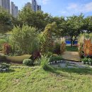 피크닉장 이미지