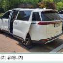 새들브라운 이미지