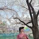 양재시민의숲역 4~5번출구 | 4/7 벚꽃 엔딩 직전!! 🌸✨ 🚨 2026 석촌호수 vs 양재 시민의 숲 ​🅿️주차정보​​​🚙