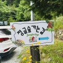 신광목장동물병원 | 동물탐험 🐾🦜13개월 별이와 다녀온 원주 신림 정글숲 동물 체험기(알레르기 반응까지 솔직하게 담은 후기)