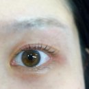 토방석갈비 | 청주 용정동 깔끔한 뷰티샵 ‘채뷰티’- 꼼꼼한 속눈썹펌 후기