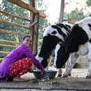 방주축산 이미지