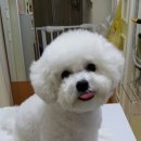 몽글몽글 이미지