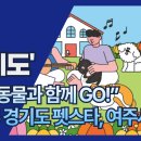 펫스타