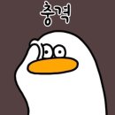 화이트청소 이미지
