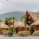 밀양로그 이미지