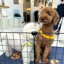 최재준신경외과의원 이미지