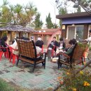 바보농장 이미지