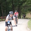 냉산공원 Daum카페